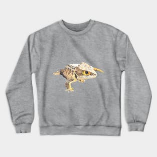 Red Eye Crocodile Skink Crewneck Sweatshirt